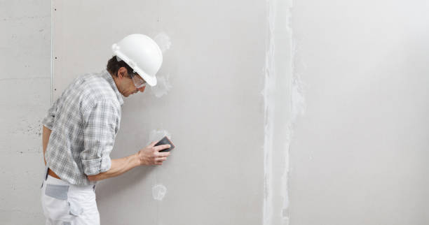 Professional Mold Removal in Oak Harbor, WA