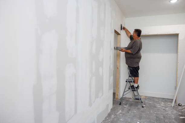 Trusted Oak Harbor, WA Mold Removal Experts